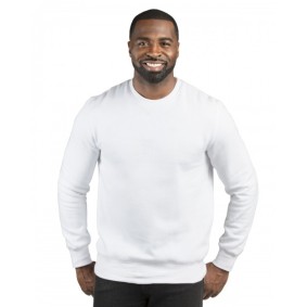 320C Threadfast Apparel Unisex Ultimate Crewneck Sweatshirt