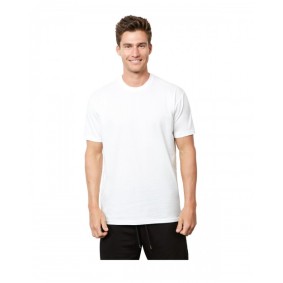 4210 Next Level Apparel Unisex Eco Performance T-Shirt