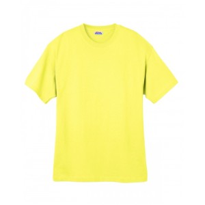 5280 Hanes Adult Essential Short Sleeve T-Shirt