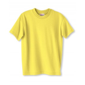 5370 Hanes Youth 50/50 Cotton Poly T Shirt