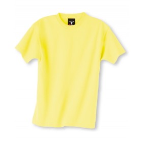 5380 Hanes Youth Beefy T Shirt