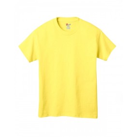 54500 Hanes Youth Authentic Short Sleeve T-Shirt