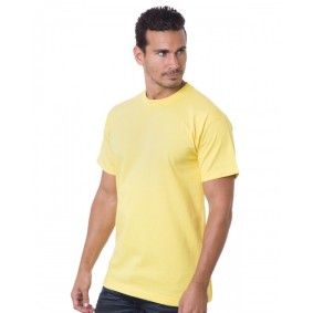 BA5100 Bayside Unisex Heavyweight T-Shirt 