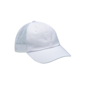 VB101 Adams 6 Panel Vibe Low Profile Cap